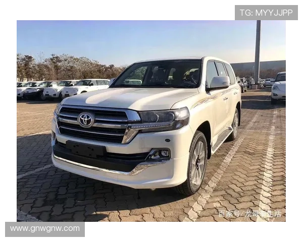 19新款丰田酷路泽4000 舒适性能动力奢华